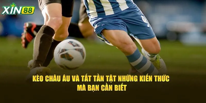Kèo Châu Âu Tại Xin88 – Tỷ Lệ Hấp Dẫn, Cược Dễ Ăn Mỗi Ngày 2 Kèo châu Âu trở thành lựa chọn lý tưởng cho những ai muốn trải nghiệm cá cược